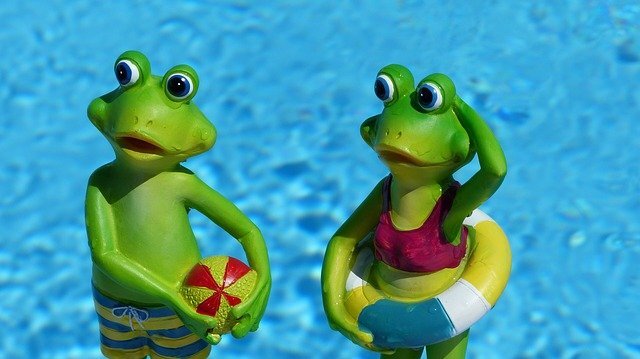 Как сварить лягушку